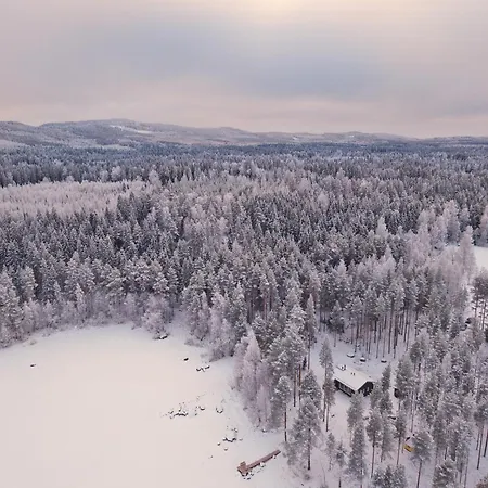 Mustikkaranta Koli Villa *