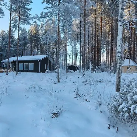Mustikkaranta Koli, Oma Ranta コリンカイラ